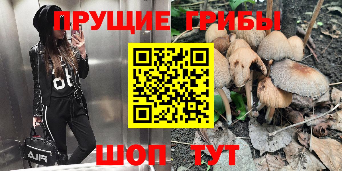 Аша  Галлюциногенные грибы мухоморы  Вход с VPN 